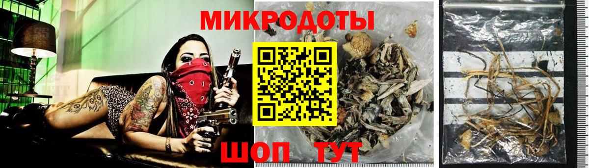 Галлюциногенные грибы GOLDEN TEACHER  Галлюциногенные грибы прущие грибы  Дербент  Вход с VPN 